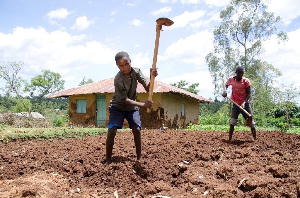 Sponsored child Julius farming