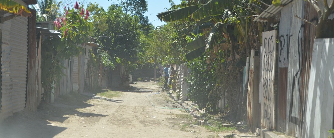 El Salvadorian community