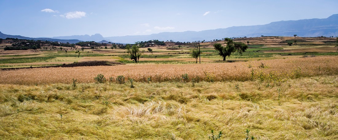 Ethiopia landscape