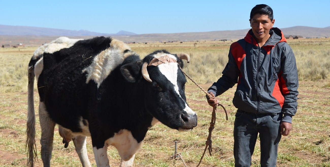 Miguel next to his cows