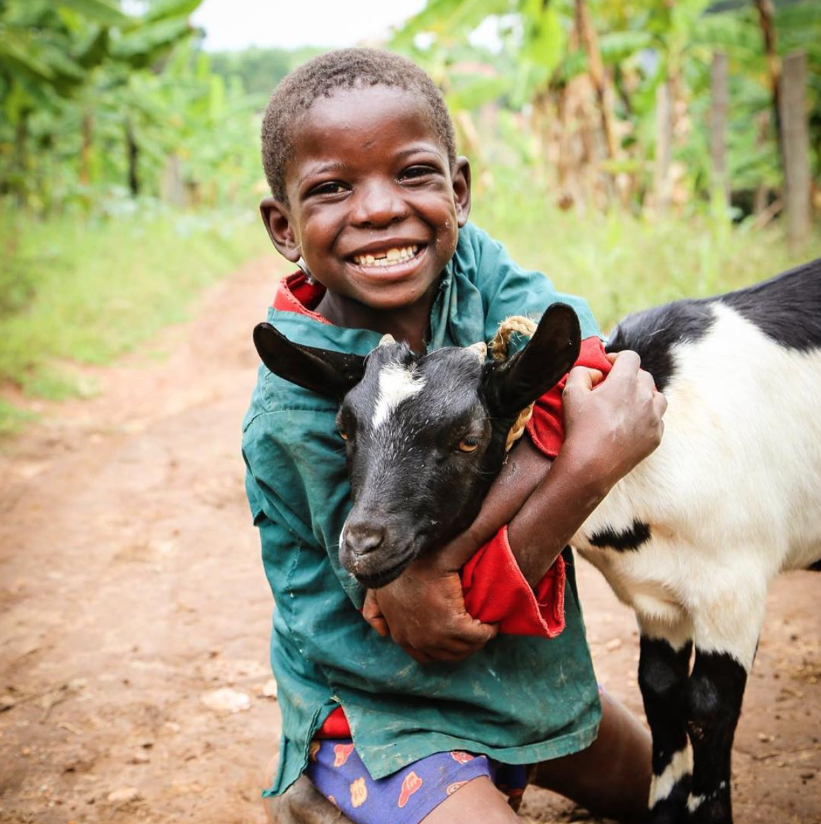 Kenyan boy hugs a goat