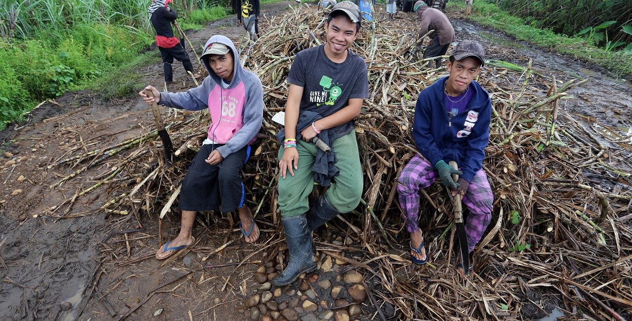 Sugar plantation workers in the Philippines