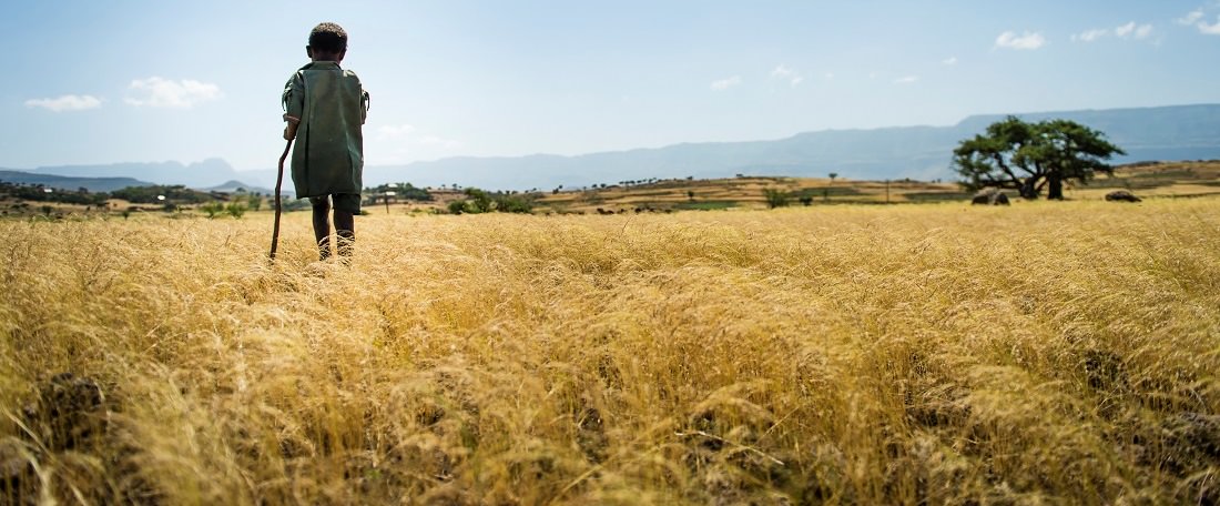 Ethiopian boy walking through field
