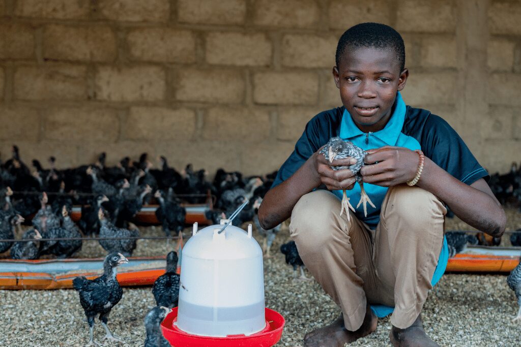 Food security in Burkina Faso
