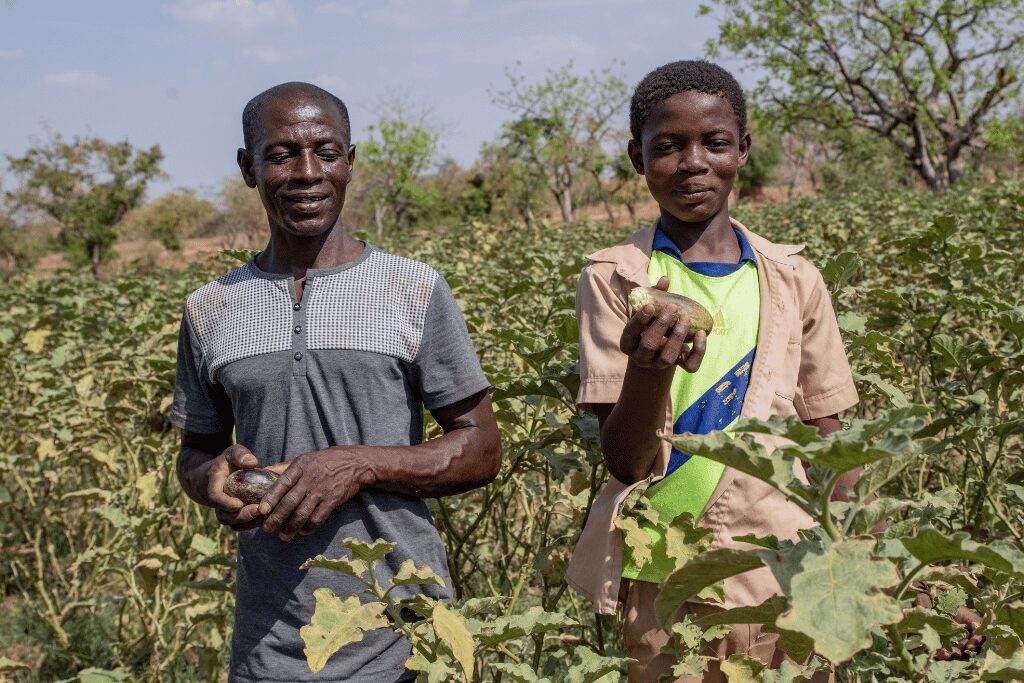 Farming in Burkina Faso
